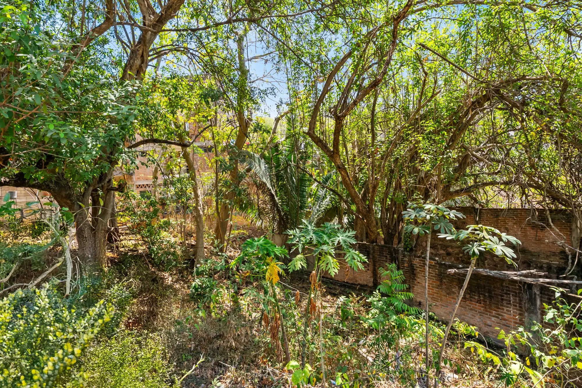 Lote Caloso 212 - Via Lactea 9