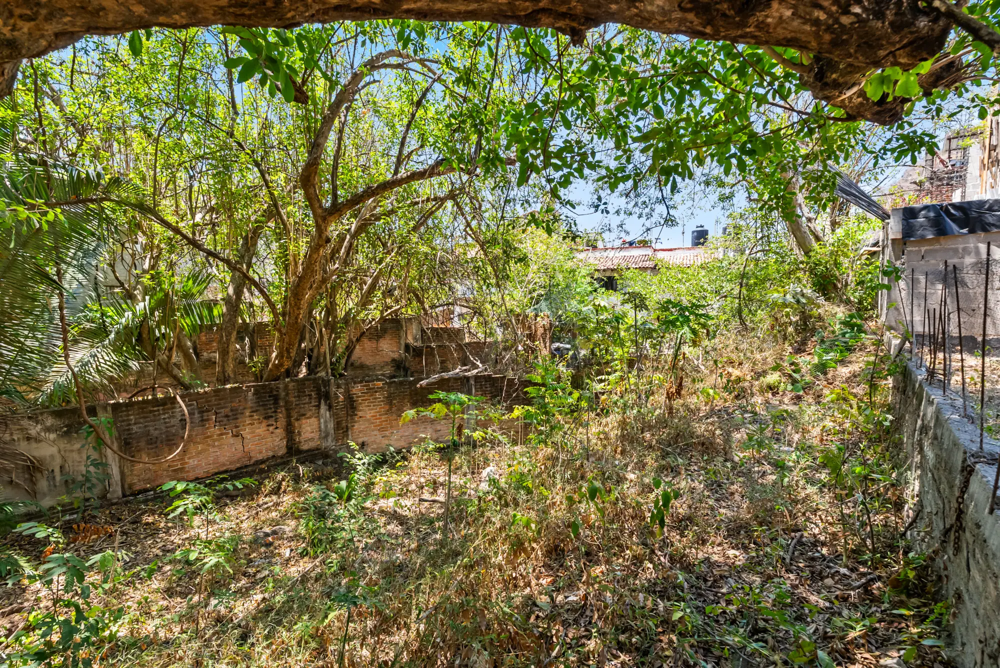 Lote Caloso 212 - Via Lactea 12